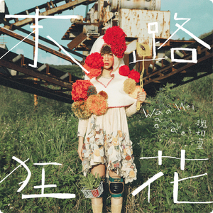 一区二区黄色A毛片
