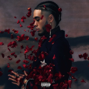 一区二区黄色A毛片
