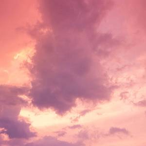 一区二区黄色A毛片
